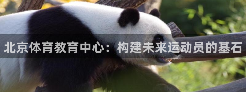 球客岛