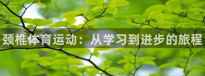 球客岛：颈椎体育运动：从学习到进步的旅程