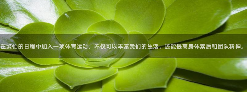 球客岛